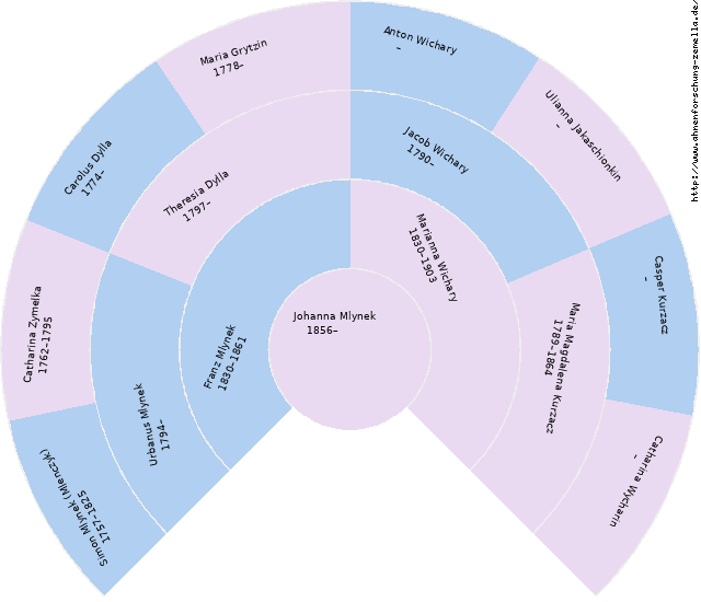 Fächerdiagramm von Johanna Mlynek