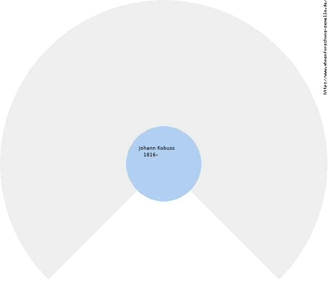 Fächerdiagramm von Johann Kobuss