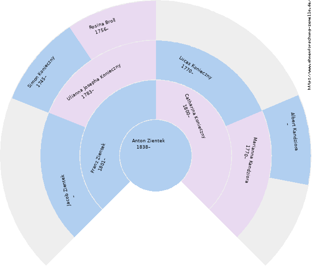 Fächerdiagramm von Anton Zientek