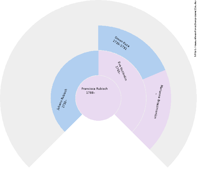 Fächerdiagramm von Francisca Rubisch