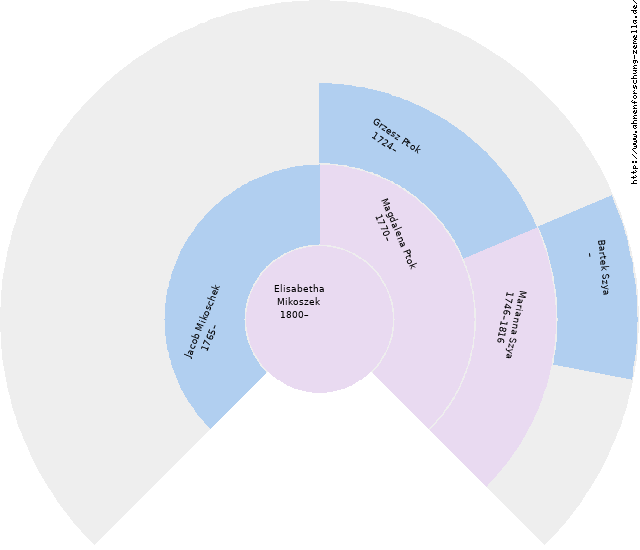 Fächerdiagramm von Elisabetha Mikoszek