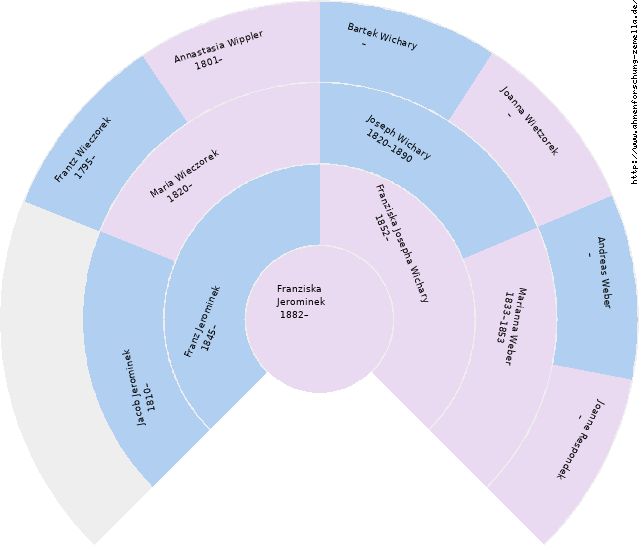 Fächerdiagramm von Franziska Jerominek