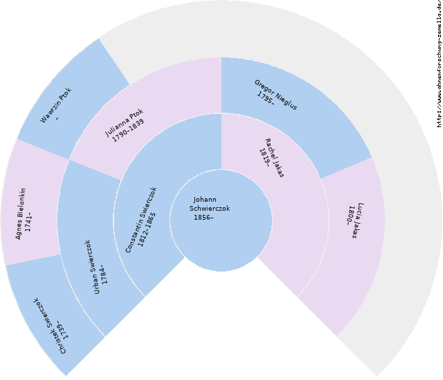 Fächerdiagramm von Johann Schwierczok