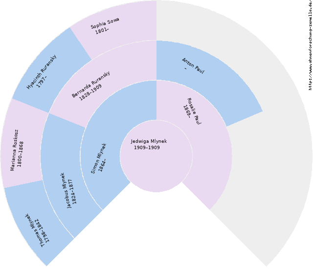 Fächerdiagramm von Jedwiga Mlynek
