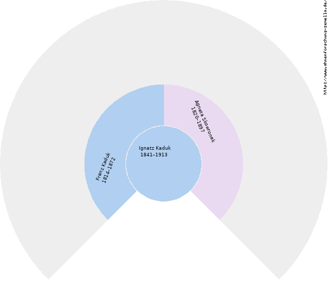 Fächerdiagramm von Ignatz Kaduk