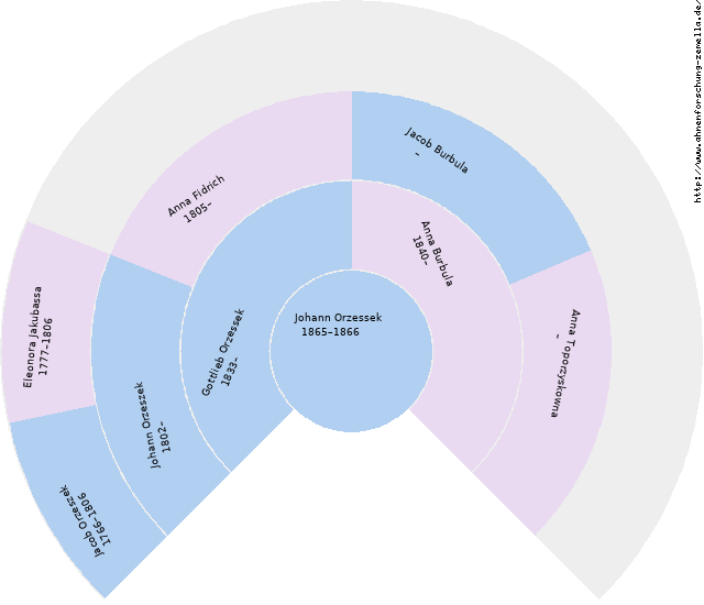 Fächerdiagramm von Johann Orzessek