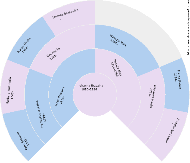 Fächerdiagramm von Johanna Brzezina