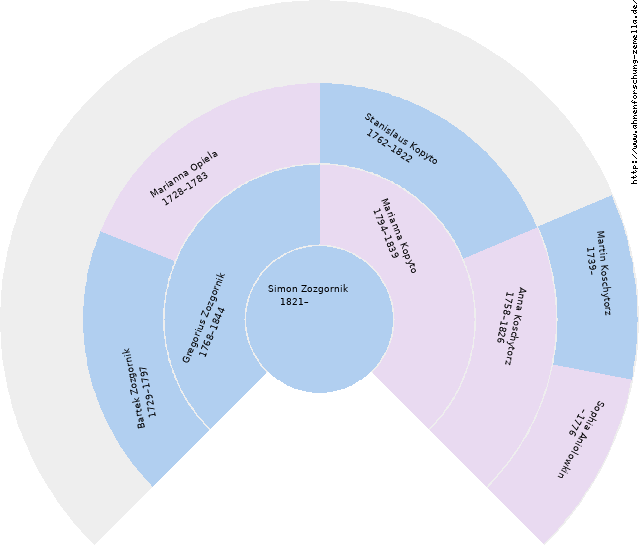 Fächerdiagramm von Simon Zozgornik