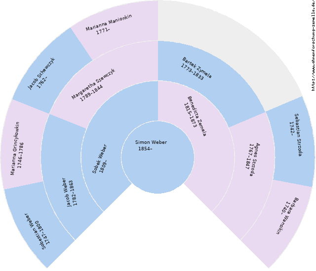 Fächerdiagramm von Simon Weber