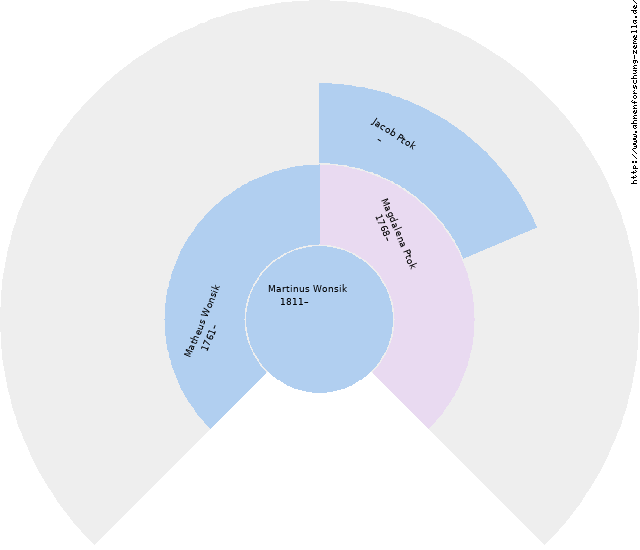 Fächerdiagramm von Martinus Wonsik