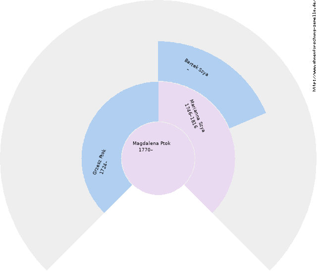 Fächerdiagramm von Magdalena Ptok