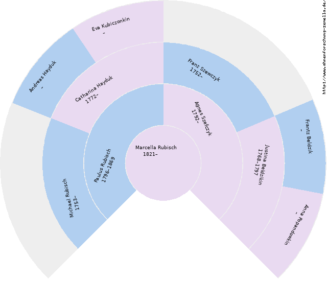Fächerdiagramm von Marcella Rubisch