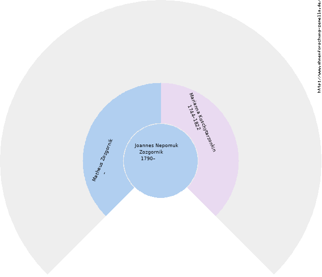 Fächerdiagramm von Joannes Nepomuk Zozgornik