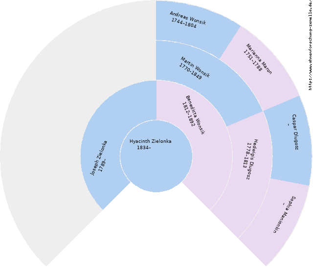 Fächerdiagramm von Hyacinth Zielonka