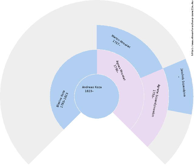 Fächerdiagramm von Andreas Koza