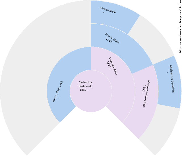 Fächerdiagramm von Catharina Bednarek