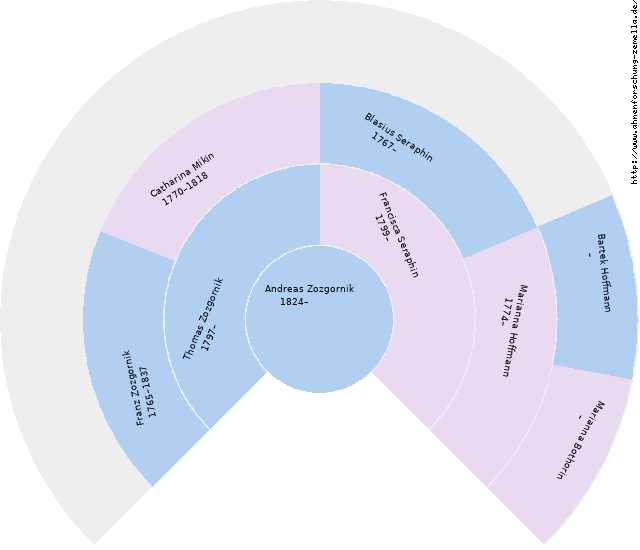 Fächerdiagramm von Andreas Zozgornik