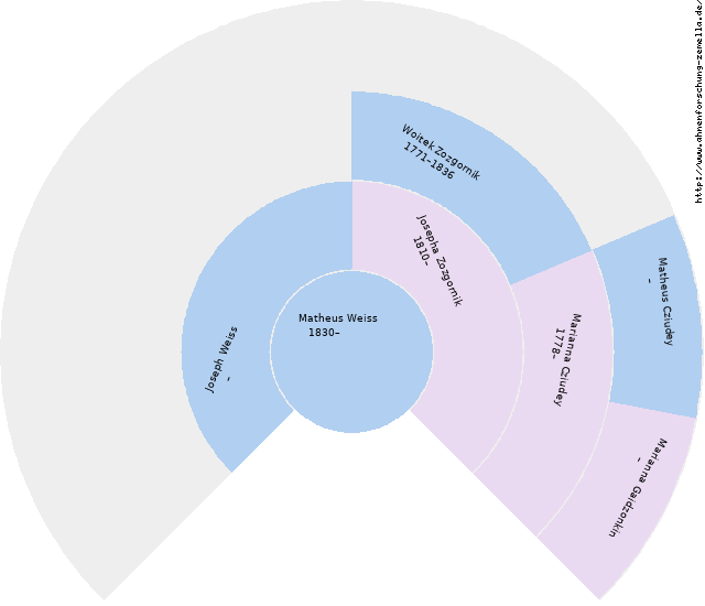 Fächerdiagramm von Matheus Weiss
