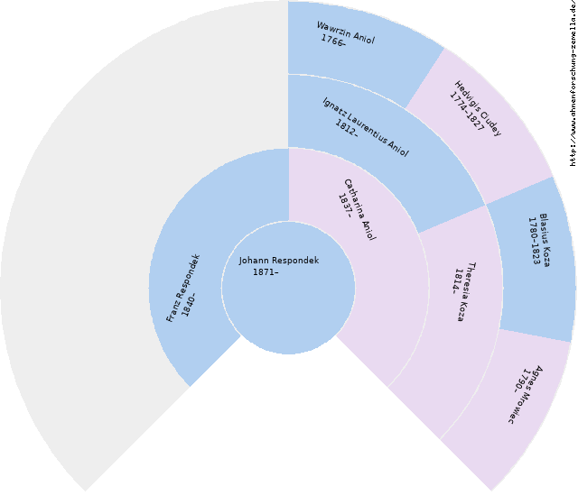 Fächerdiagramm von Johann Respondek
