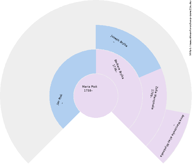 Fächerdiagramm von Maria Ptok