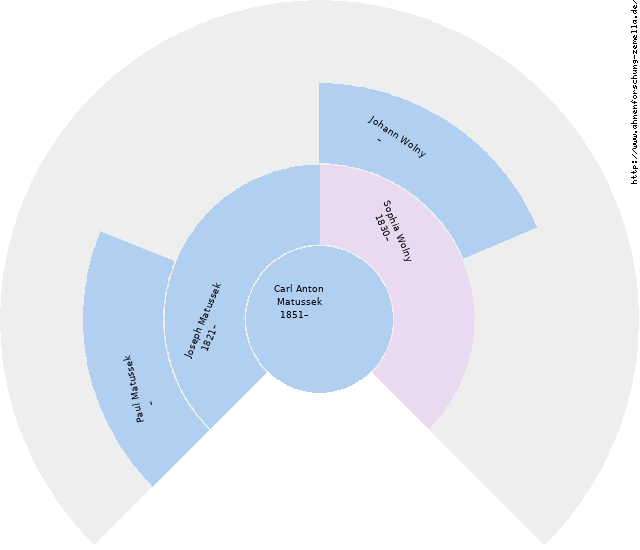 Fächerdiagramm von Carl Anton Matussek