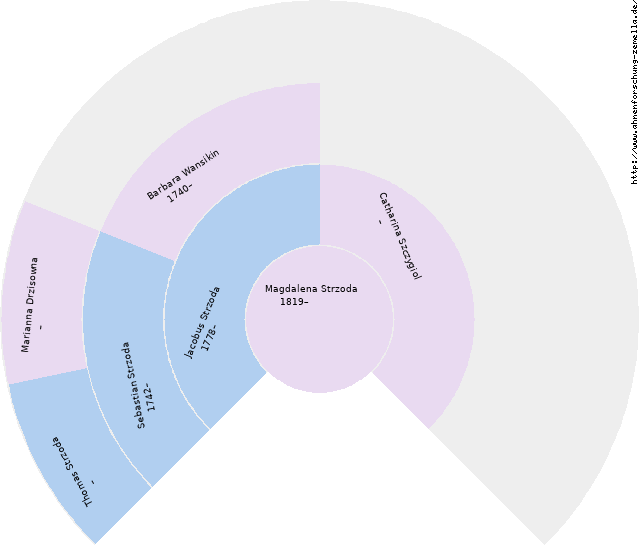 Fächerdiagramm von Magdalena Strzoda