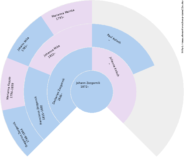Fächerdiagramm von Johann Zozgornik
