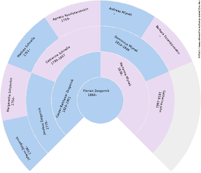 Fächerdiagramm von Florian Zosgornik