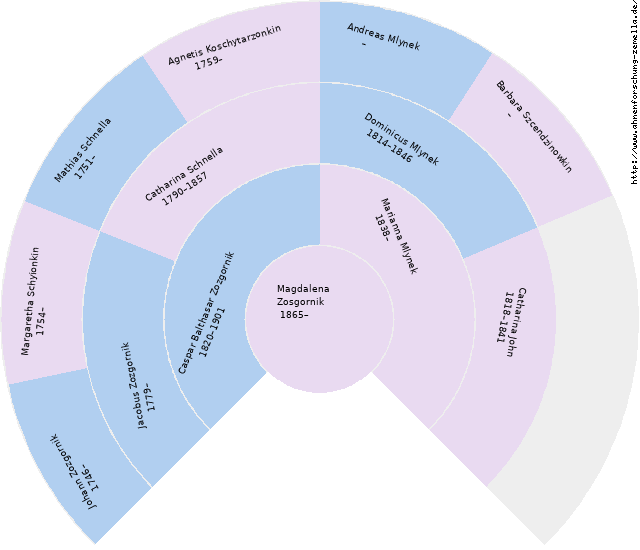 Fächerdiagramm von Magdalena Zosgornik
