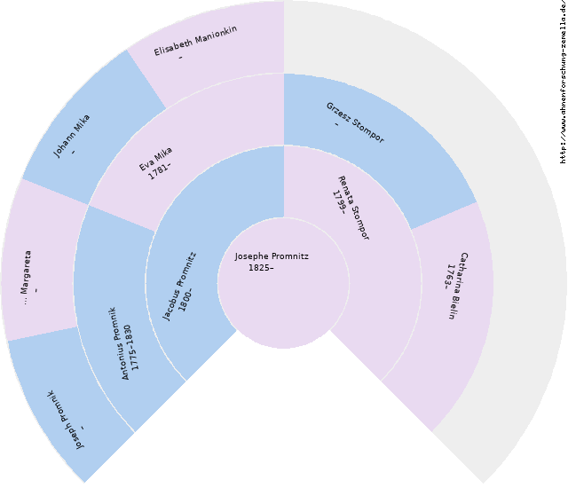 Fächerdiagramm von Josephe Promnitz