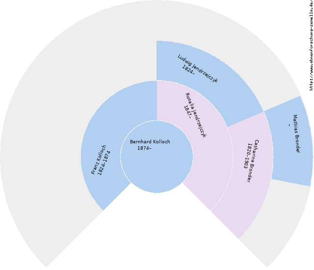 Fächerdiagramm von Bernhard Kolloch