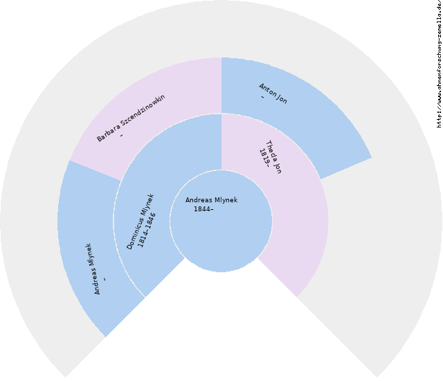Fächerdiagramm von Andreas Mlynek