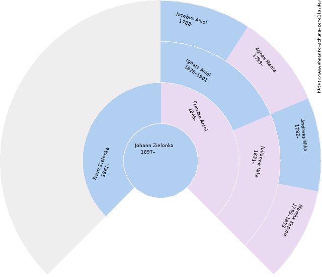 Fächerdiagramm von Johann Zielonka